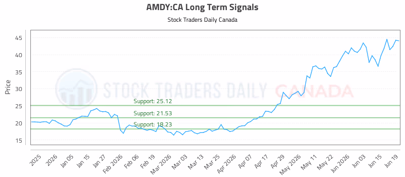 Stock Chart for AMDY:CA