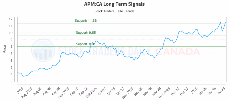 Stock Chart for APM:CA