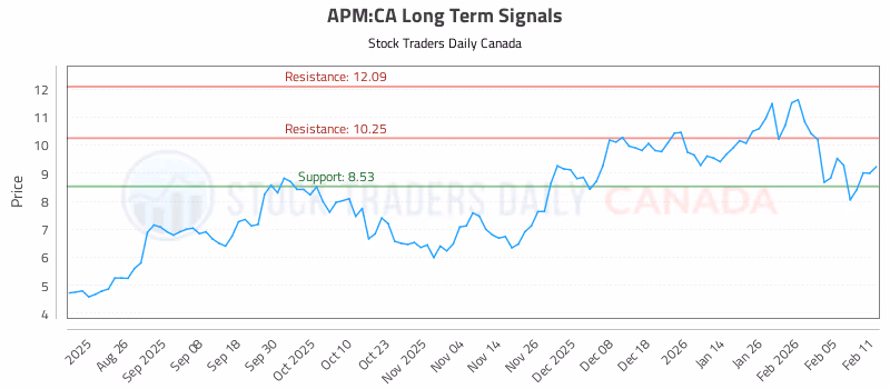Stock Chart for APM:CA
