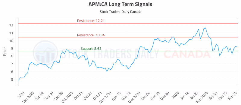 Stock Chart for APM:CA
