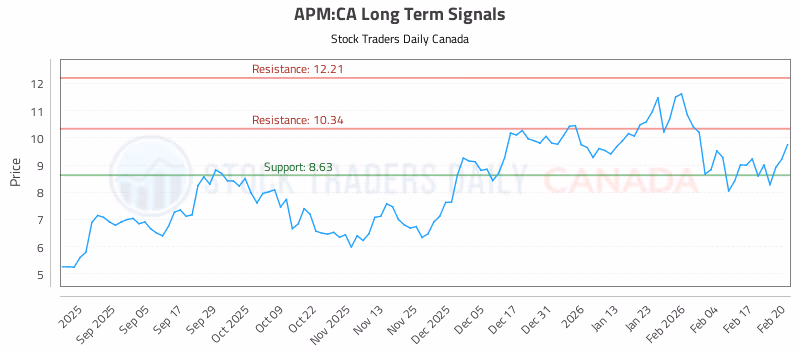 Stock Chart for APM:CA