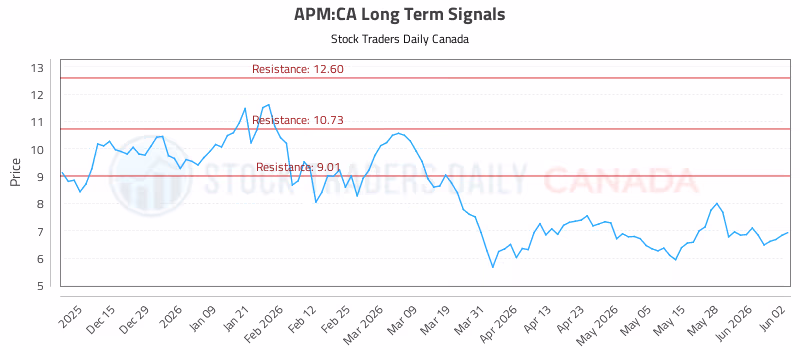 Stock Chart for APM:CA