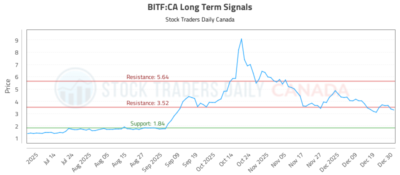 (BITF) Investment Performance Report