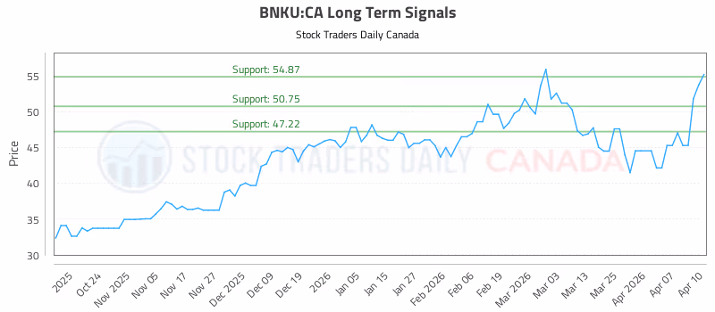 Stock Chart for BNKU:CA