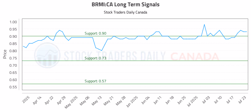 Stock Chart for BRMI:CA