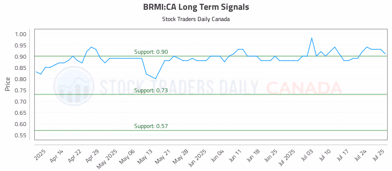 Stock Chart for BRMI:CA
