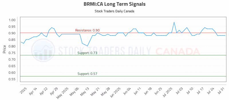 Stock Chart for BRMI:CA