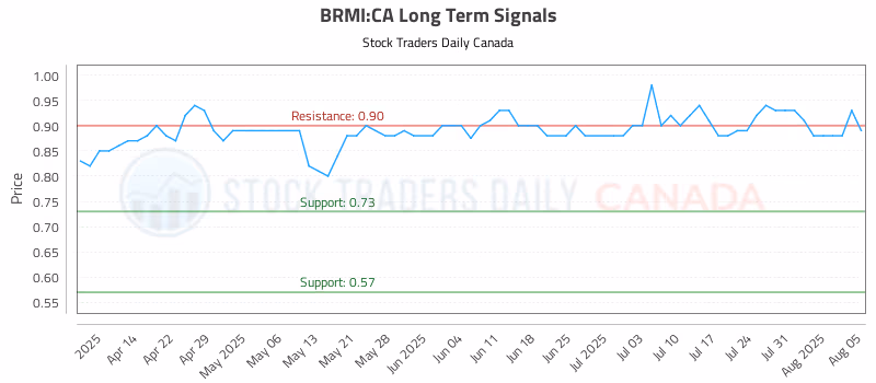 Stock Chart for BRMI:CA