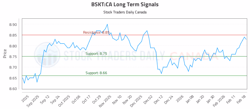 Stock Chart for BSKT:CA
