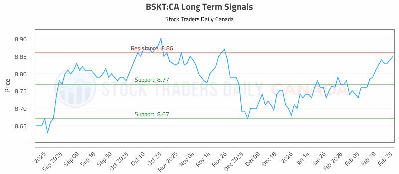 Stock Chart for BSKT:CA