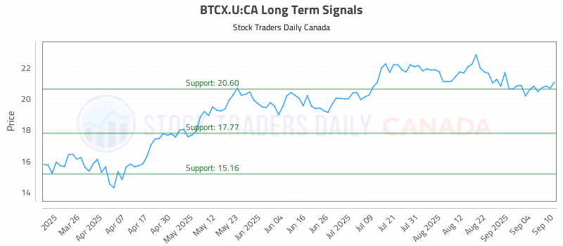 Stock Chart for BTCX.U:CA