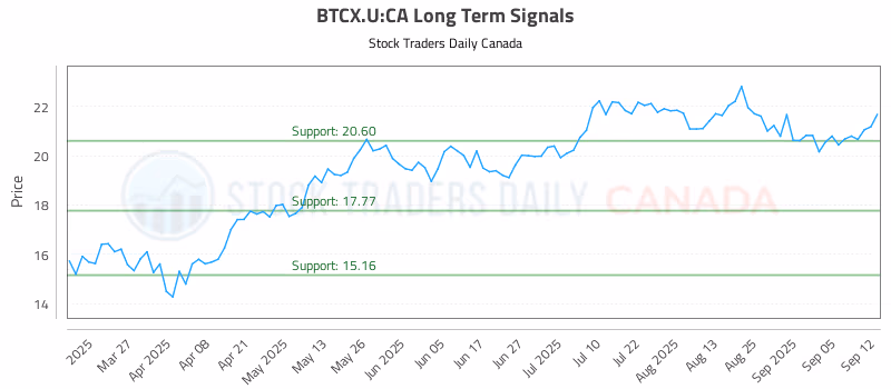 Stock Chart for BTCX.U:CA