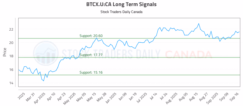 Stock Chart for BTCX.U:CA