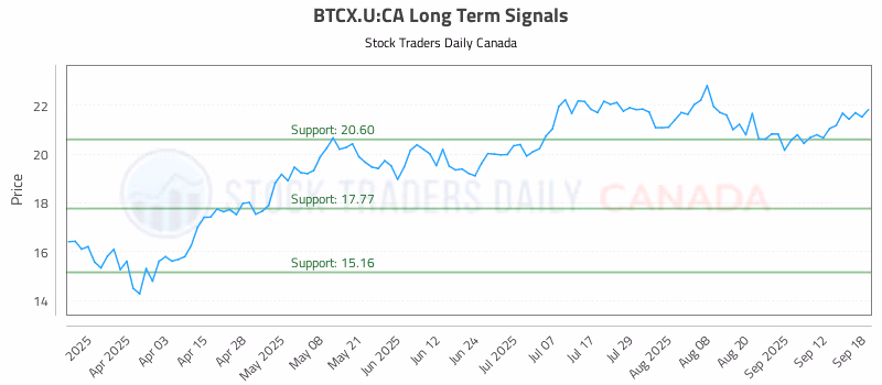 Stock Chart for BTCX.U:CA