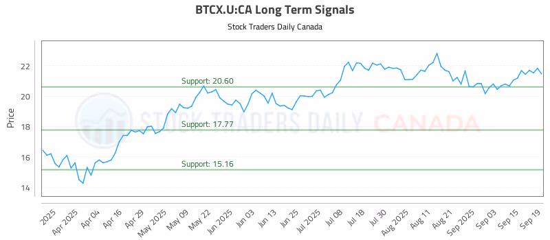 Stock Chart for BTCX.U:CA