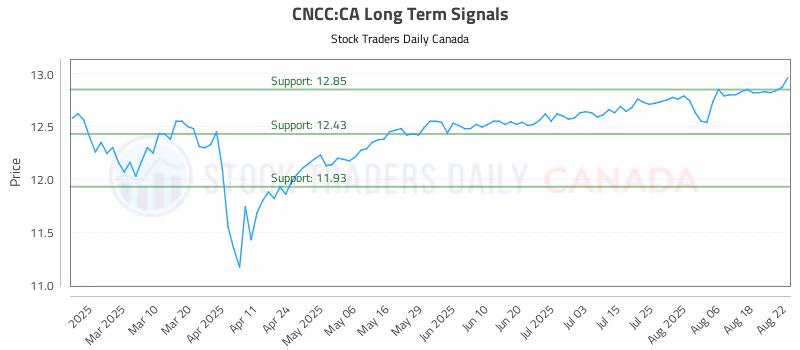 Stock Chart for CNCC:CA
