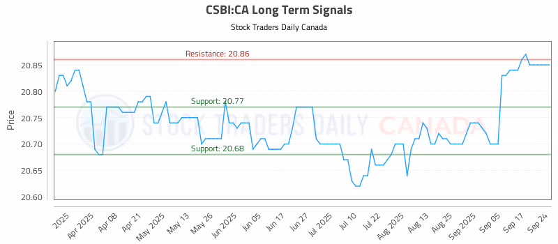 Stock Chart for CSBI:CA