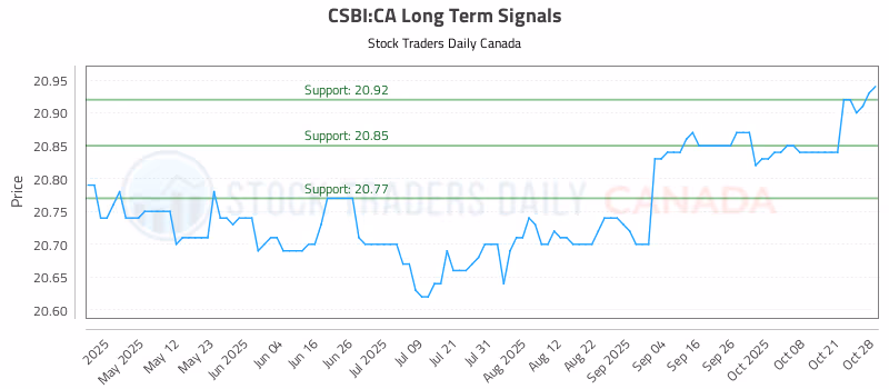 Stock Chart for CSBI:CA