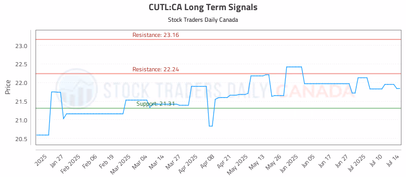 Stock Chart for CUTL:CA