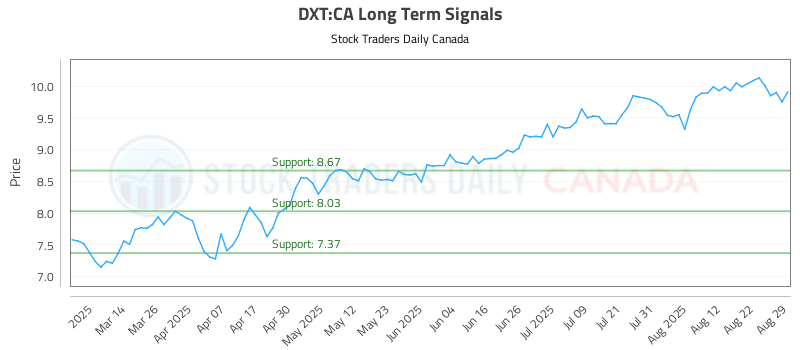 (DXT) Investment Performance Report