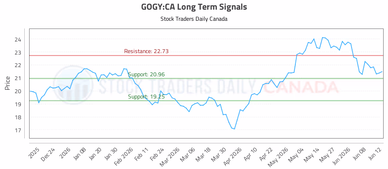 Stock Chart for GOGY:CA