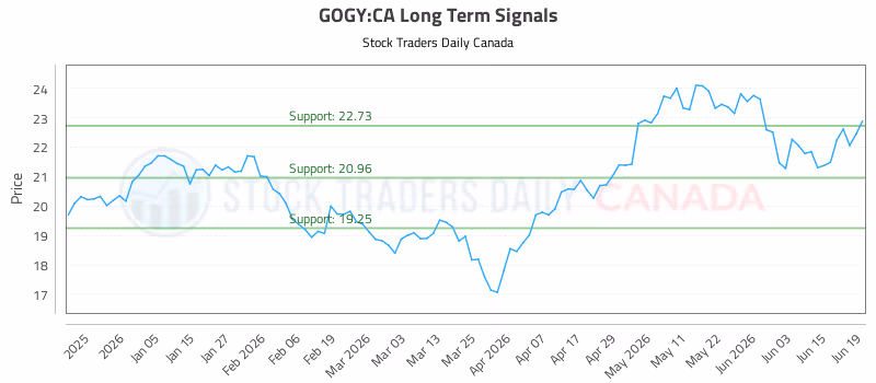 Stock Chart for GOGY:CA