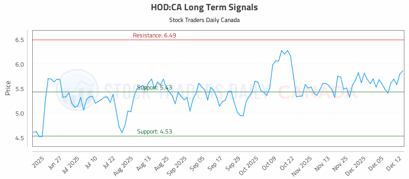 Stock Chart for HOD:CA