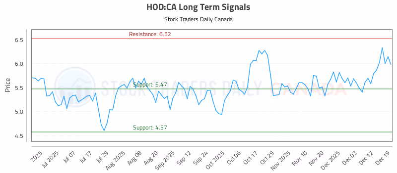 Stock Chart for HOD:CA
