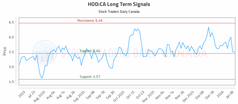 Stock Chart for HOD:CA