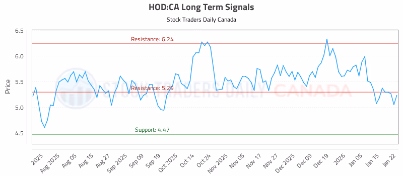 Stock Chart for HOD:CA