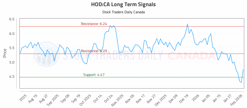 Stock Chart for HOD:CA