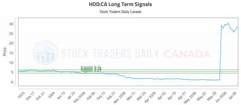 Stock Chart for HOD:CA