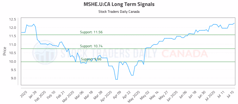 Stock Chart for MSHE.U:CA