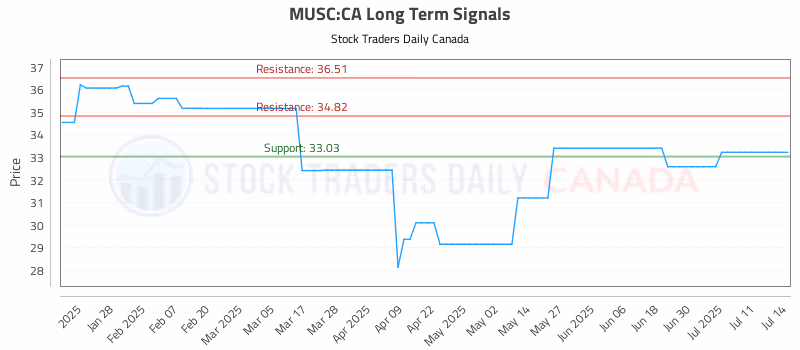 Stock Chart for MUSC:CA