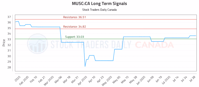 Stock Chart for MUSC:CA