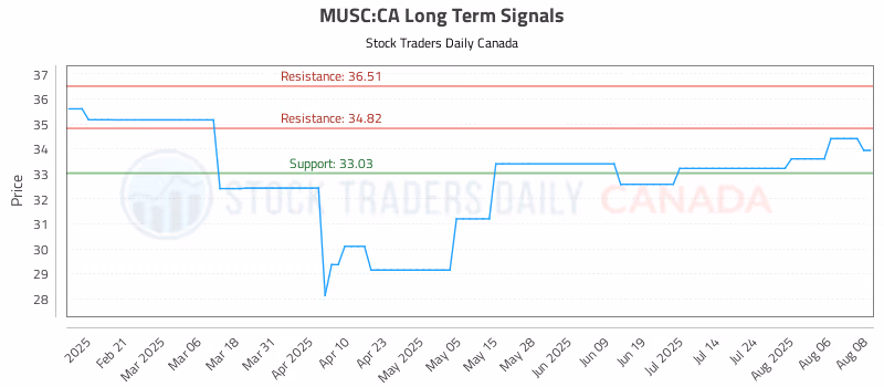Stock Chart for MUSC:CA