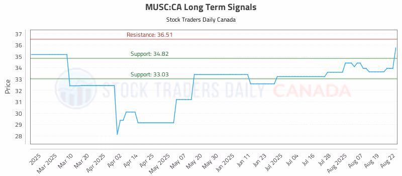 Stock Chart for MUSC:CA