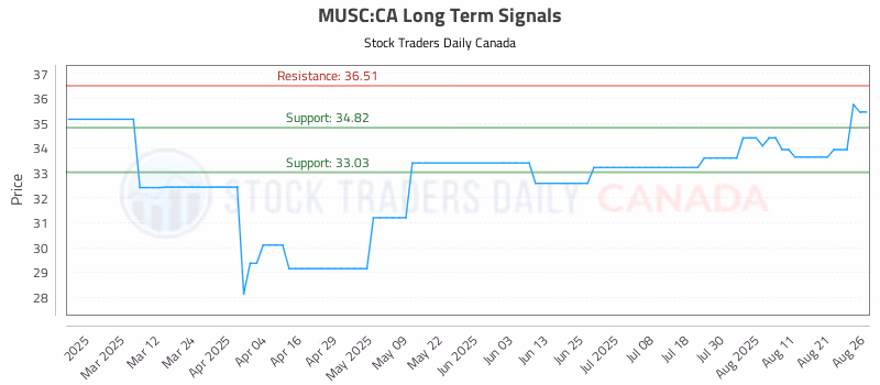 Stock Chart for MUSC:CA