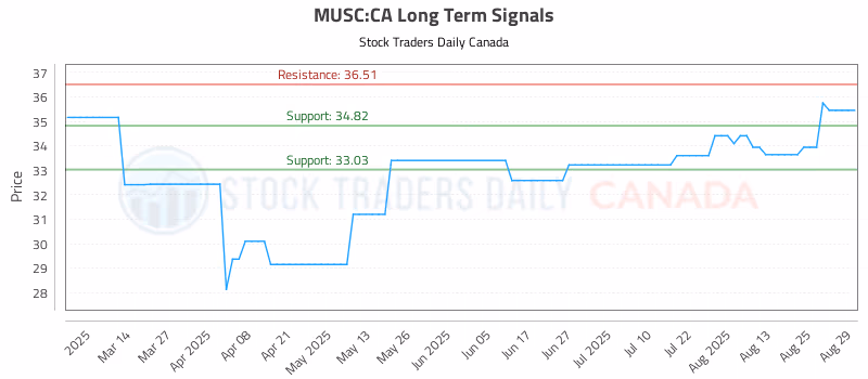 Stock Chart for MUSC:CA