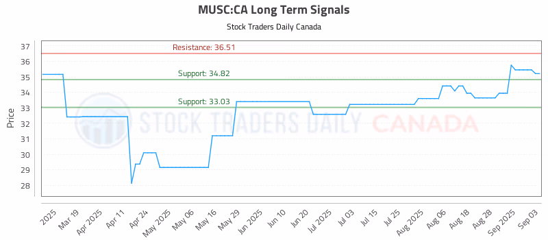 Stock Chart for MUSC:CA