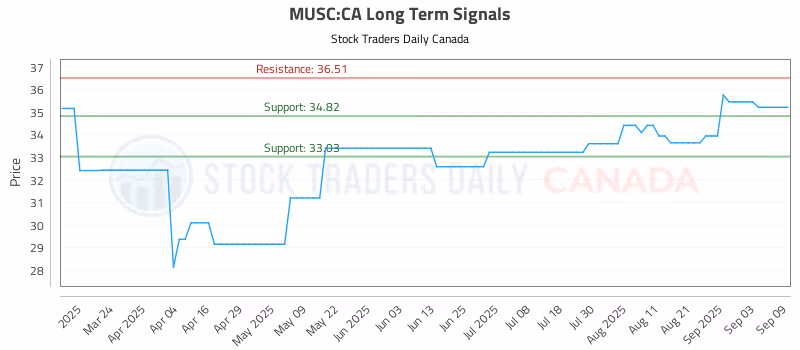 Stock Chart for MUSC:CA