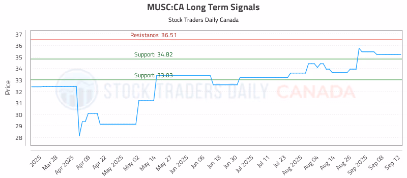 Stock Chart for MUSC:CA