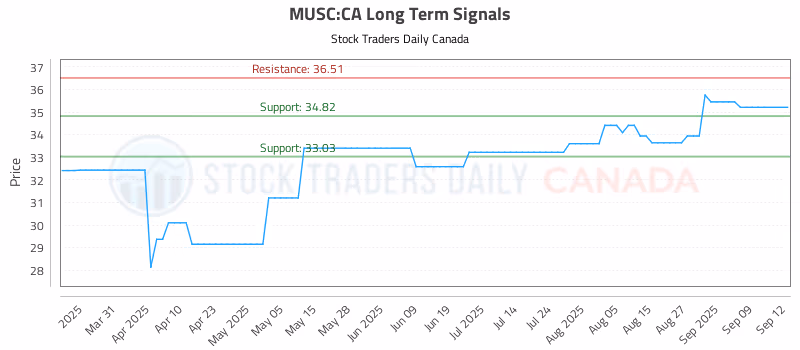 Stock Chart for MUSC:CA