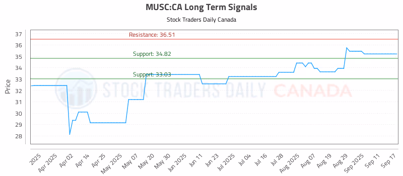 Stock Chart for MUSC:CA