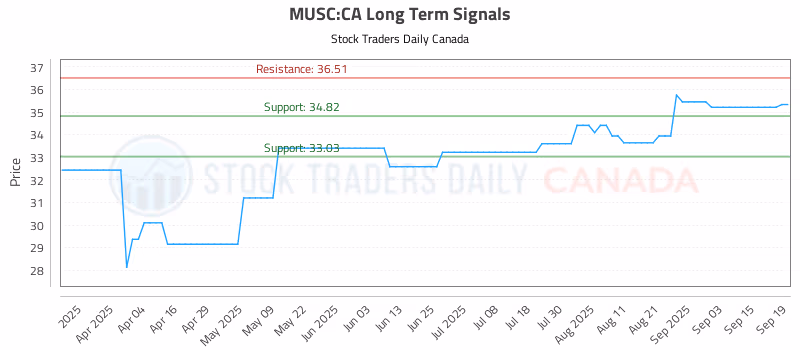 Stock Chart for MUSC:CA