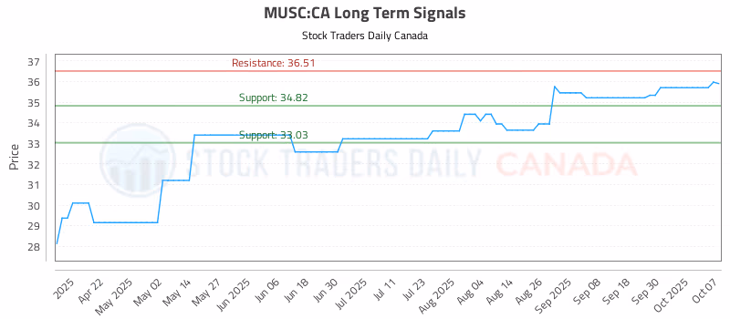 Stock Chart for MUSC:CA