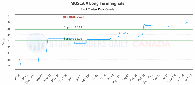 Stock Chart for MUSC:CA