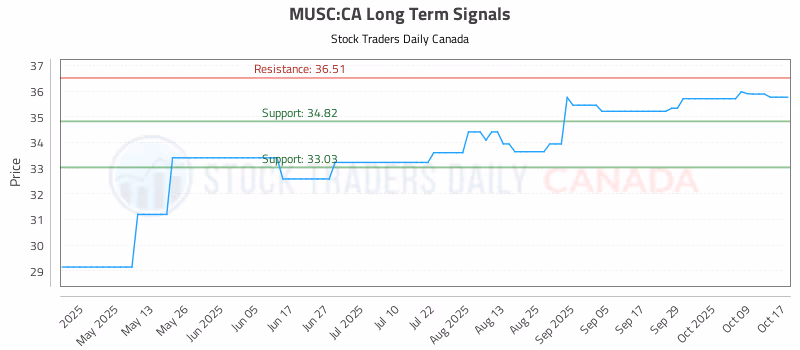Stock Chart for MUSC:CA