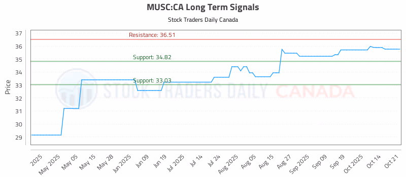 Stock Chart for MUSC:CA