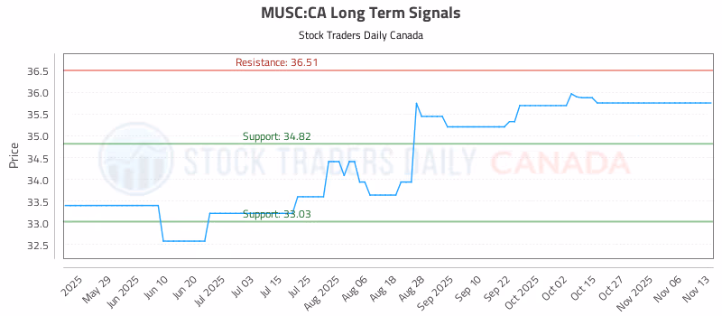 Stock Chart for MUSC:CA
